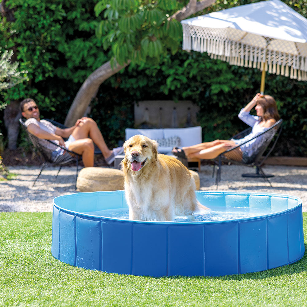 Faltbarer Hundepool blau