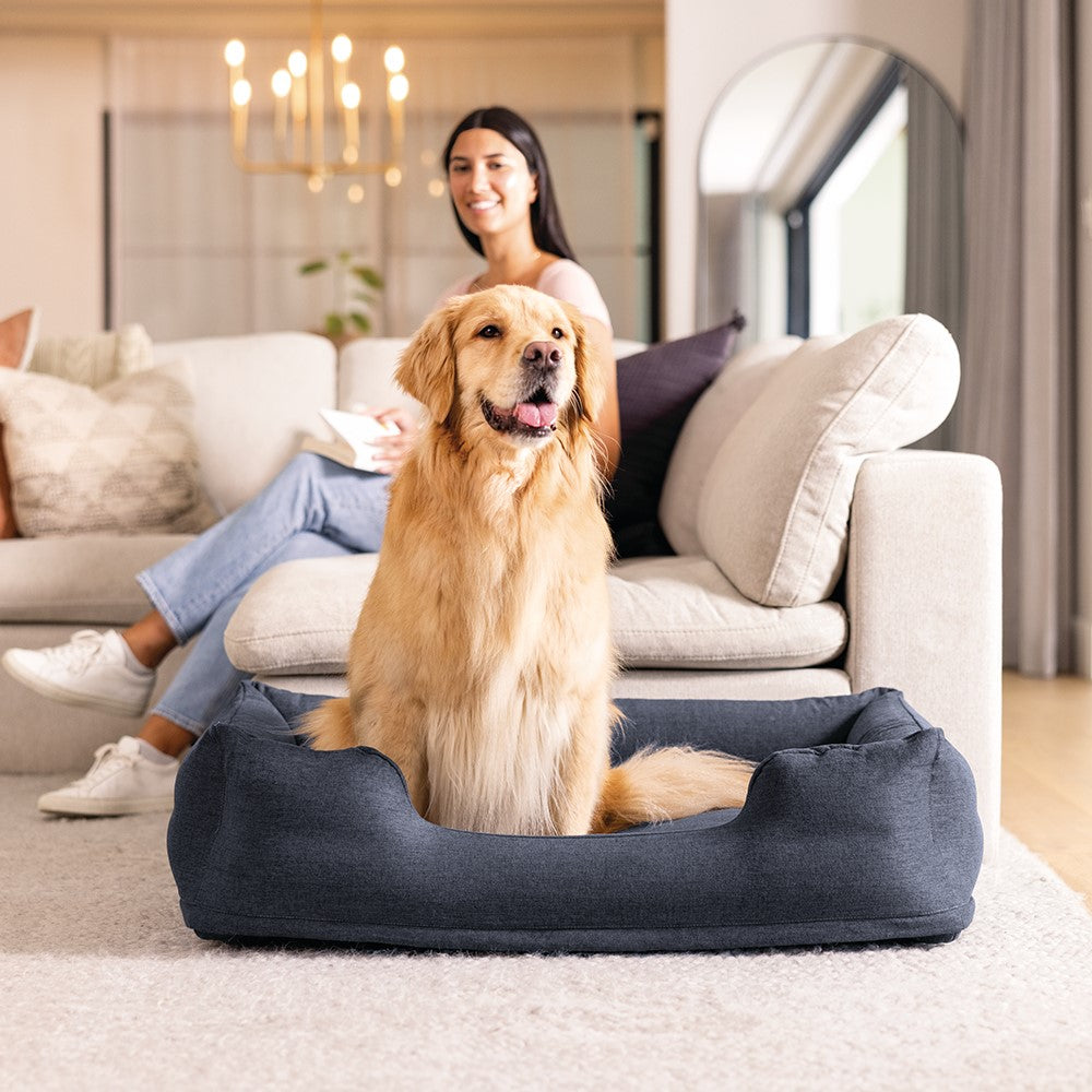 Hundebett für Hunde bis 22,7kg