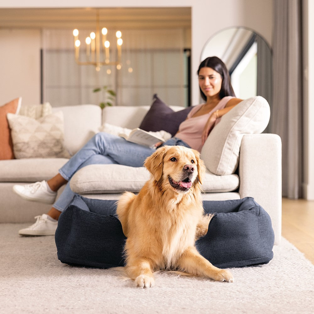 Hundebett für Hunde bis 22,7kg