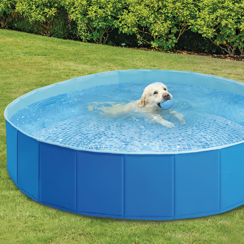 Haustier Pool rund, faltbar