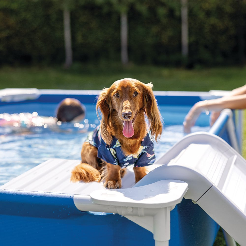 Haustier Frame-Pool, rechteckig, mit Rampe und 12V Pumpe